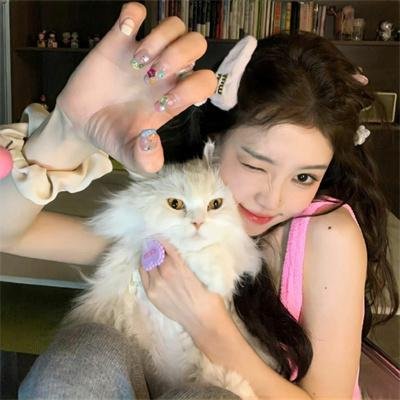 寅次郎的故事:寅次郎芙蓉花特别篇